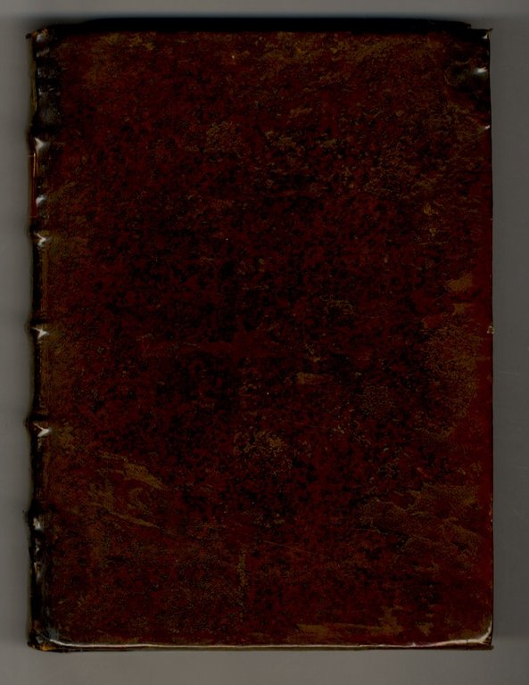 Joh. Baptistae Vici De rebus gestis Antonj Caraphaei libri quatuor …