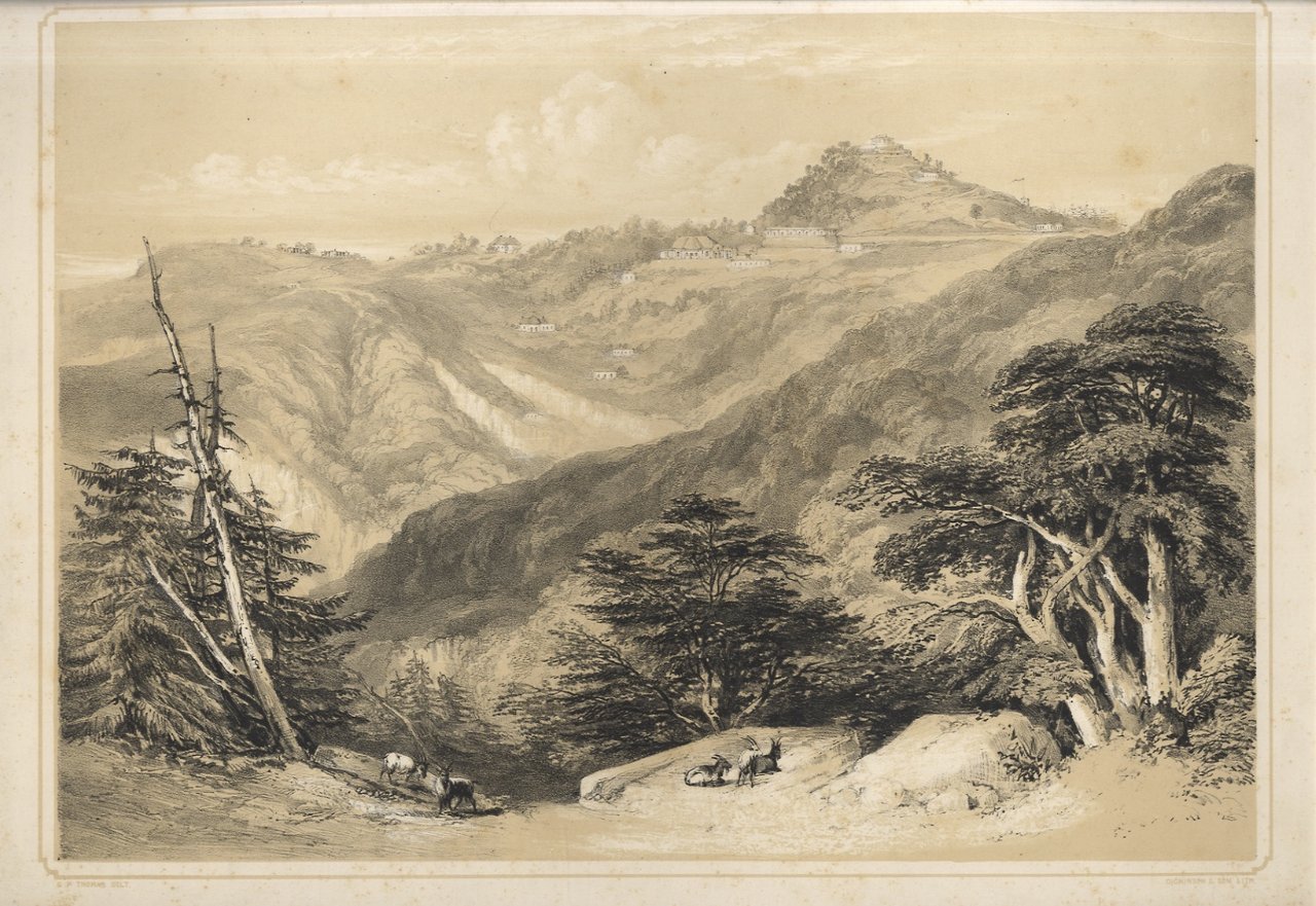 Kilmanack from the road to Annadale. | Immagine principale