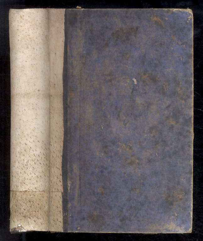 L'assedio di Firenze. Sola edizione illustrata [da Nicola Sanesi] approvata …