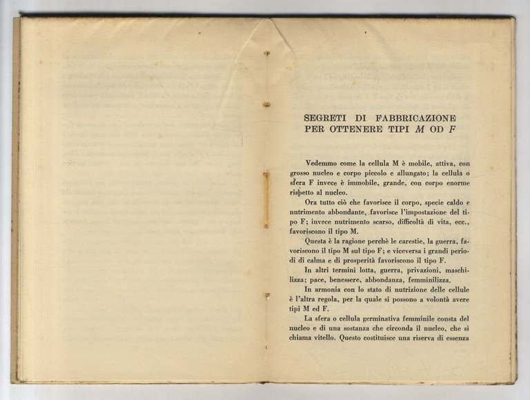 L'I.M.M. o Italo Mediterraneo di Mussolini.