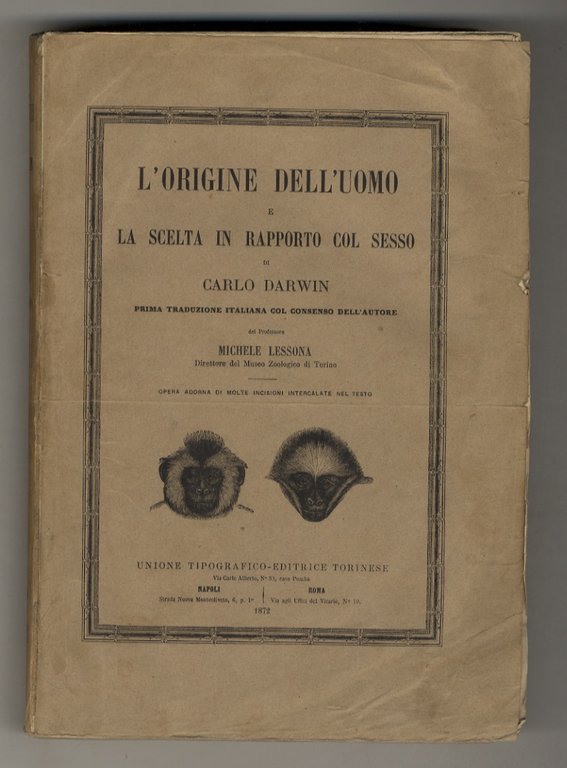 L'origine dell'Uomo e la scelta in rapporto col sesso [.] Prima traduzione italiana col consenso dell'Autore del professore Michele Lessona [.]. Opera adorna di molte incisioni nel testo.