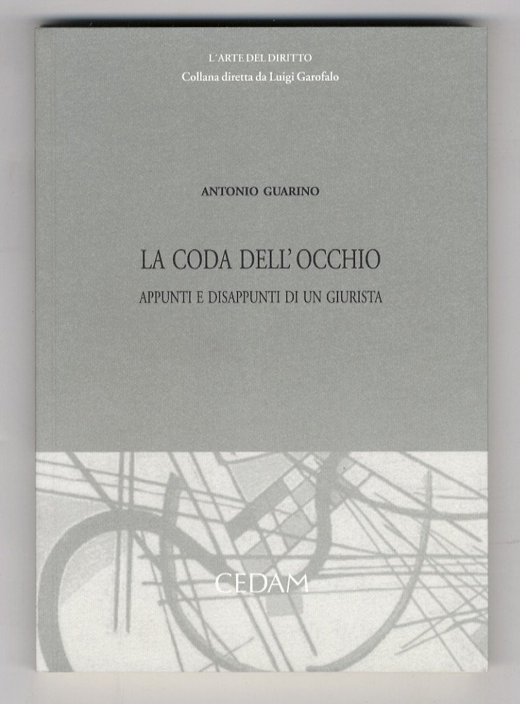 La coda dell'occhio. Appunti e disappunti di un giurista.