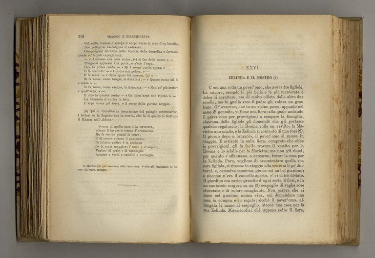 La novellaja fiorentina. Fiabe e novelline stenografate in Firenze dal … | Immagine Gallery 2