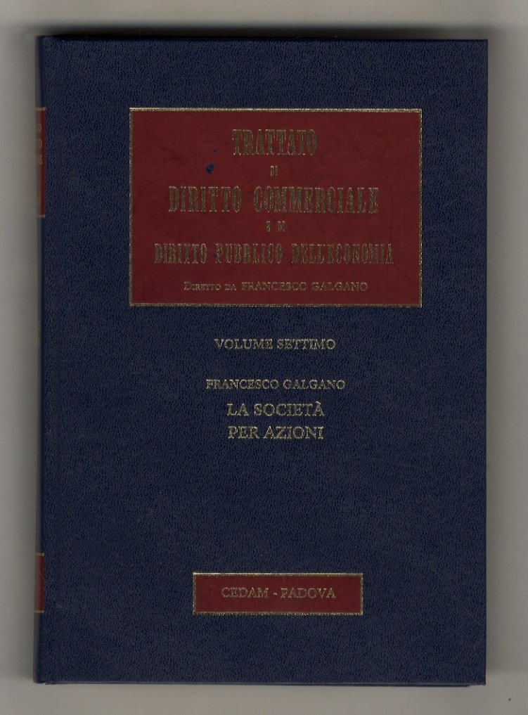 La società per azioni. | Immagine principale