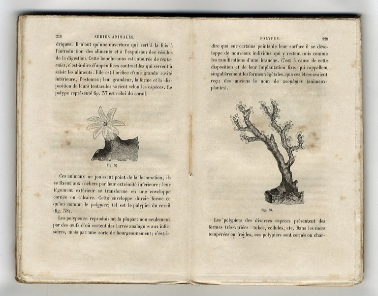 La vie. [.] Deuxième édition, revue et corrigée.