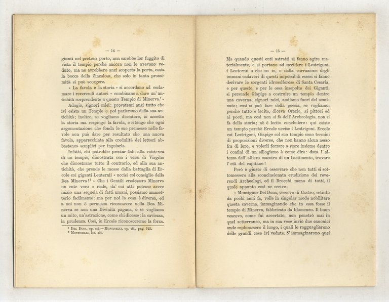 La Zinzolosa. Monografia geologico-archeologica.