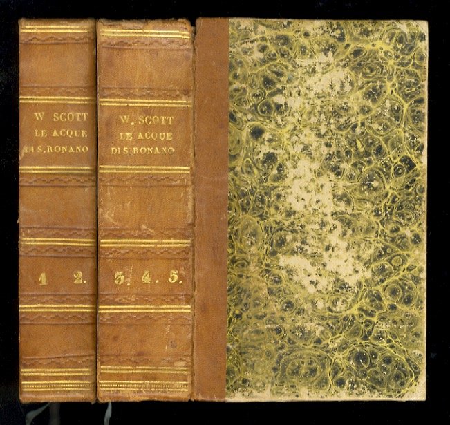 Le acque di S. Ronano. Romanzo storico [.] Volgarizzato dal …