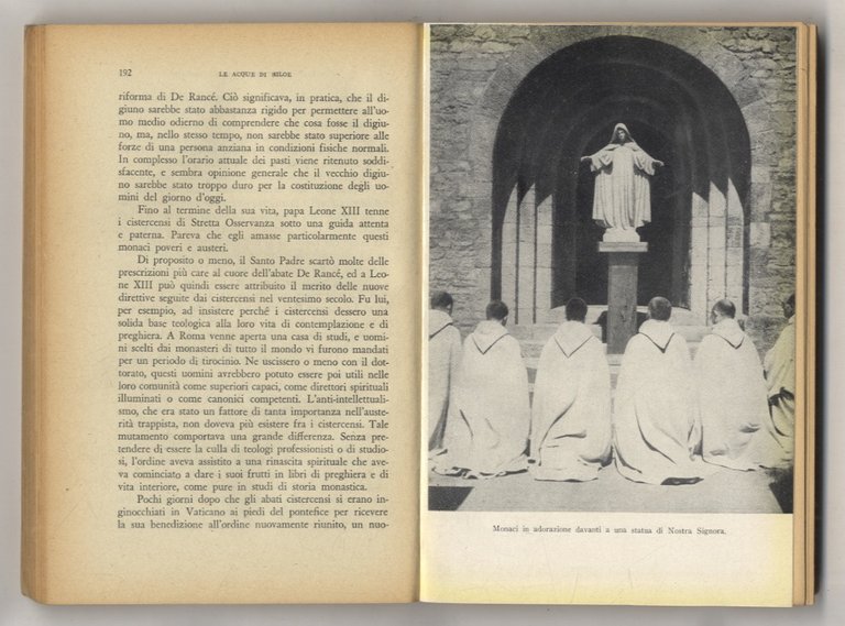 Le acque di Siloe. | Immagine Gallery 2