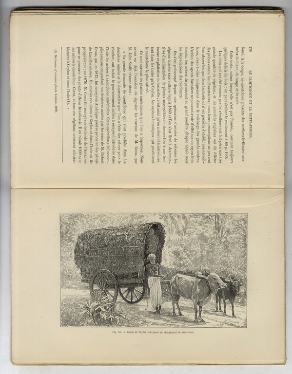 Le Caoutchouc et la gutta-percha. Ouvrage contenant 245 gravures et … | Immagine Gallery 3