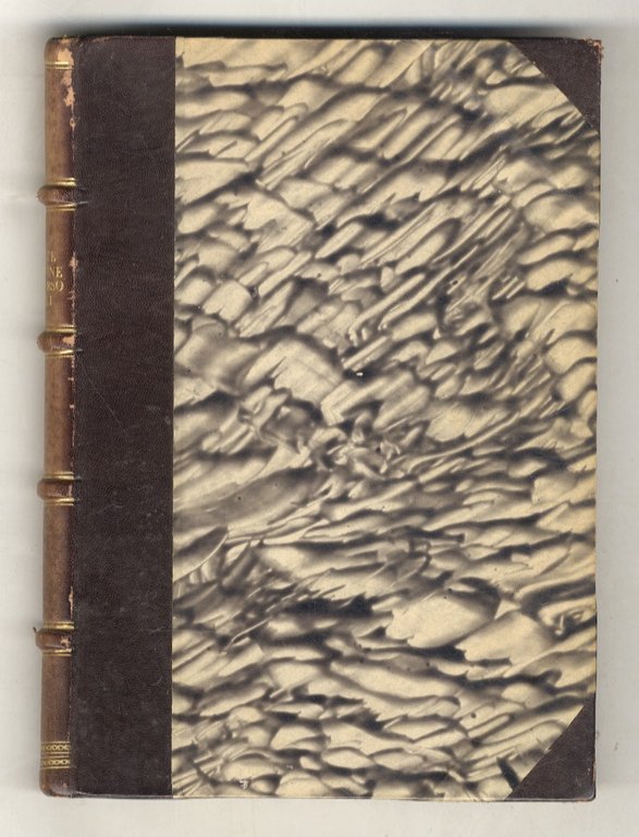 Le feste fiorentine attraverso i secoli. Le Feste per San … | Immagine Gallery 3