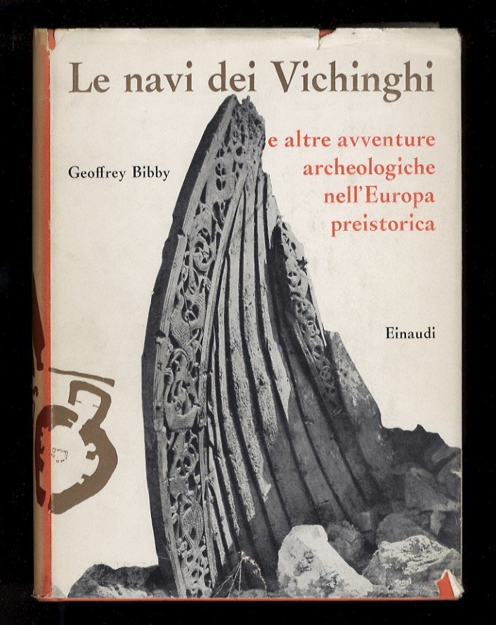 Le navi dei Vichinghi. E altre avventure archeologiche nell'Europa preistorica.
