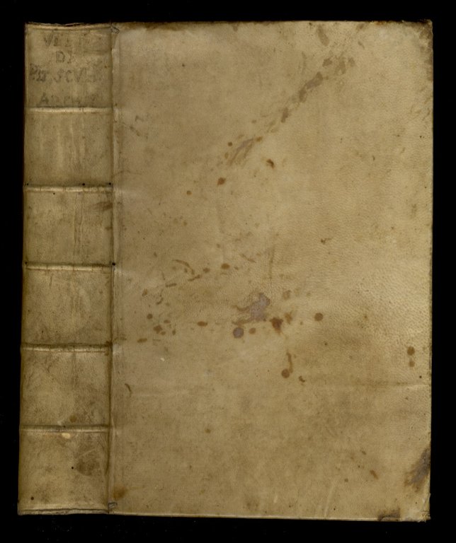 Le Vite de' piu Eccellenti Pittori, Scultori, e Architettori scritte … | Immagine Gallery 4