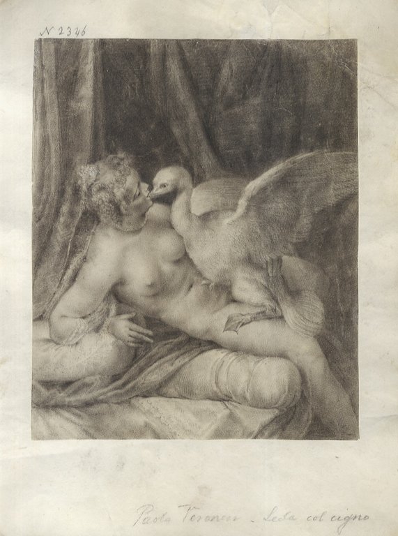 [LEDA e il cigno. Dal dipinto di Paolo Veronese ora al Museo Fesch di Ajaccio].