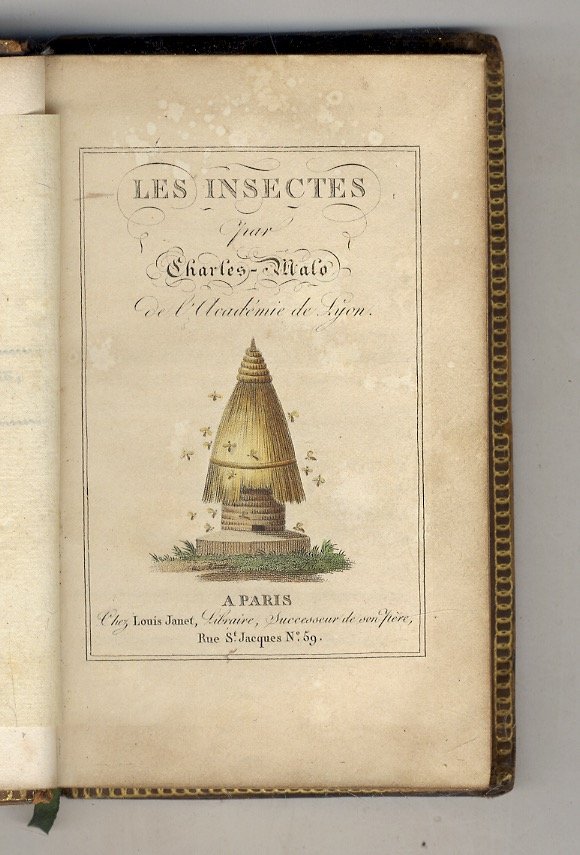 Les insectes.