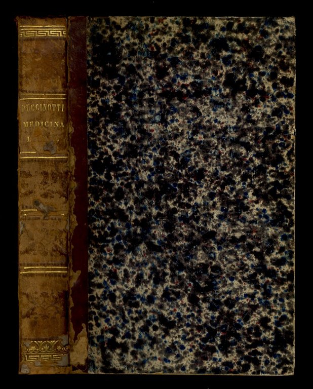 Lezioni di medicina legale. [.] Edizione quinta riveduta e corretta …