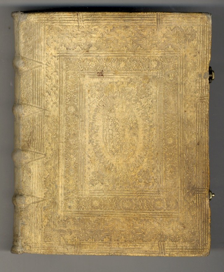 Magnum matrimonii sacramentum casibus practicis expositum, juxta principia theologiae moralis …