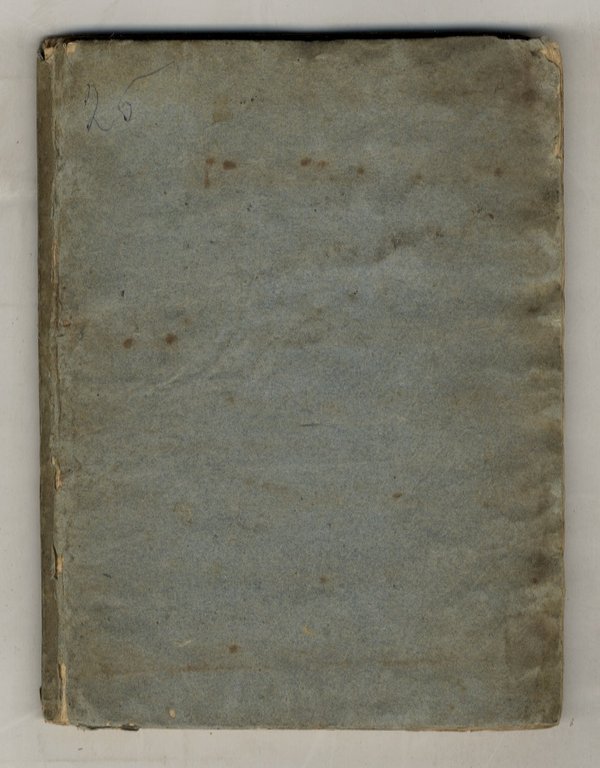 MANOSCRITTO ottocentesco, su carta, non firmato, recante una lunga analisi …