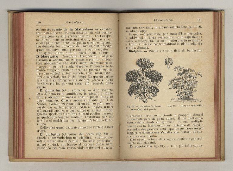 Manuale di Floricoltura. Coltura delle piante a fiori e descrizione …