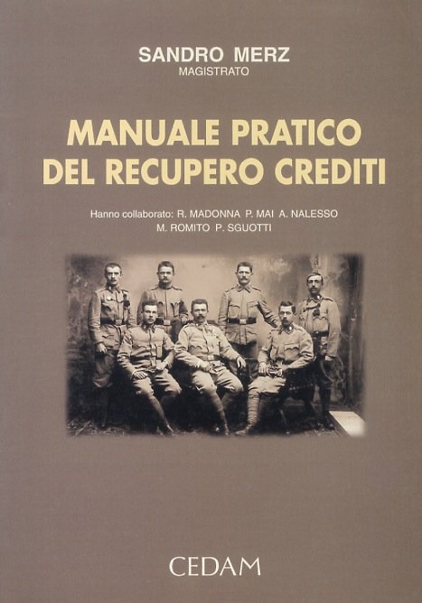 Manuale pratico del recupero crediti.