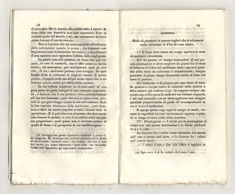 [Memoria intorno ad una nuova varietà di patata con alcune …