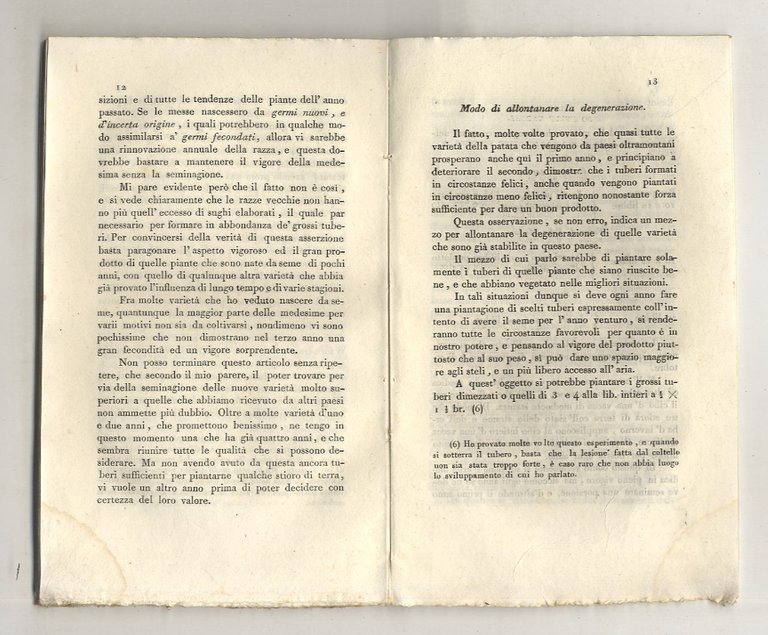 [Memoria intorno ad una nuova varietà di patata con alcune …