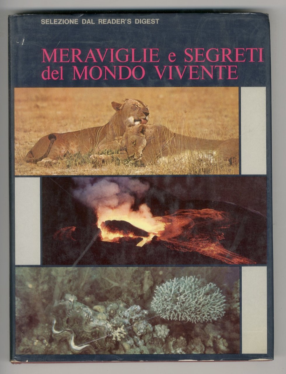 MERAVIGLIE e segreti del mondo vivente.