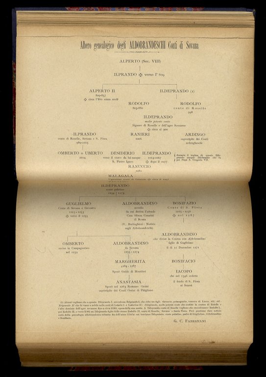 Monografia storica della contea di Pitigliano. Opera postuma di Giuseppe …