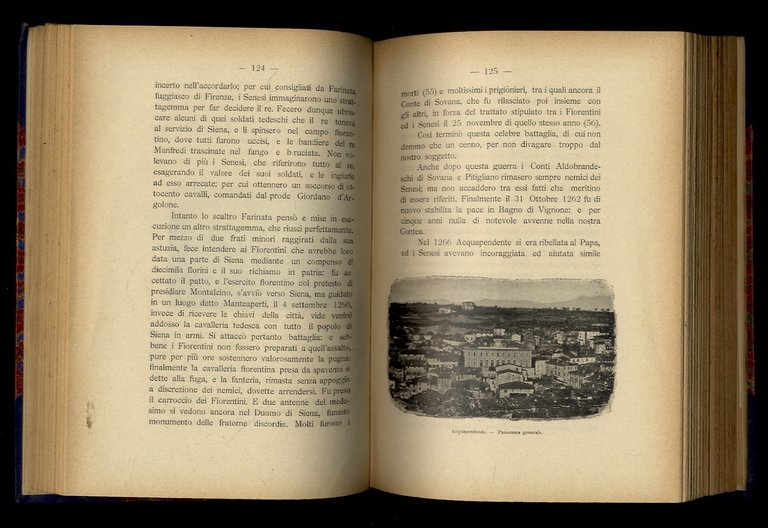 Monografia storica della contea di Pitigliano. Opera postuma di Giuseppe …