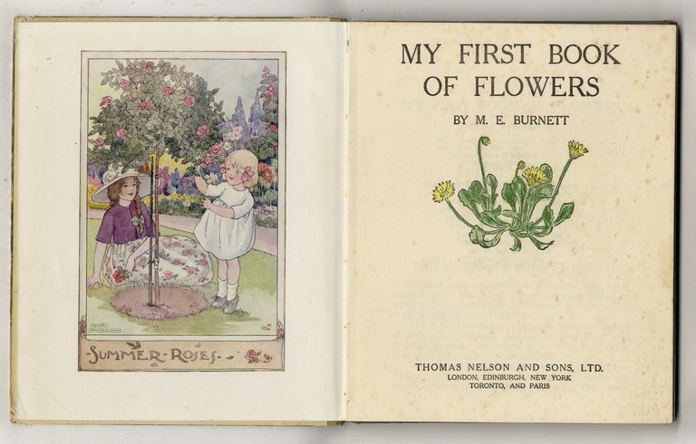 My First Book of Flowers.