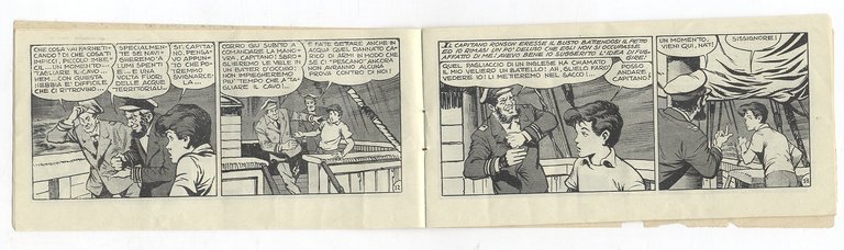 Nat del Santa Cruz. Musi gialli.