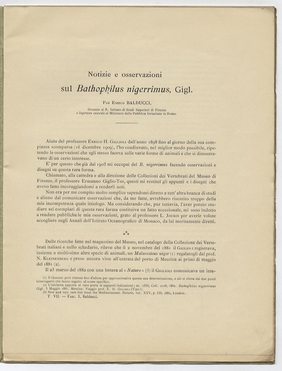 Notizie e osservazioni sul Bathophilus nigerrimus, Giglioli.
