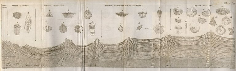 Nouveau manuel complet de géologie, ou traité élémentaire de cette … | Immagine Gallery 3