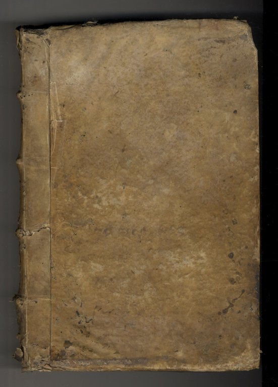 Novissimae decisiones diversorum Sacri Palatij Apostolici auditorum. In quibus variae, …