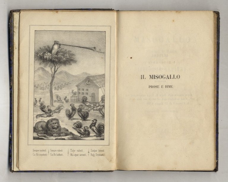 NUOVA guida della città e contorni di Firenze con la … | Immagine Gallery 6