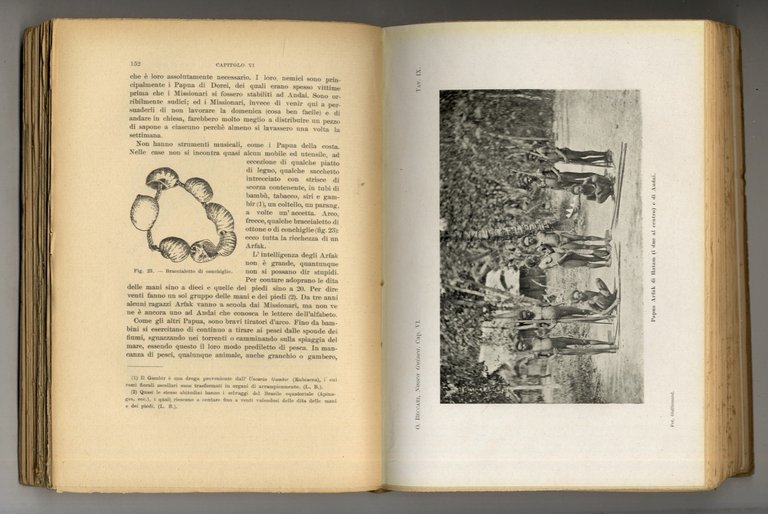 Nuova Guinea, Selebes e Molucche. Diarii di viaggio ordinati dal …