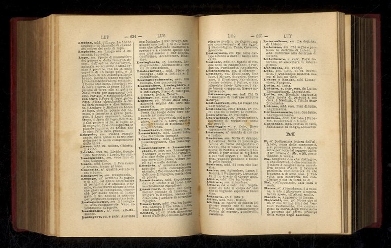 Nuovissimo vocabolario della lingua italiana scritta e parlata compilato sui …