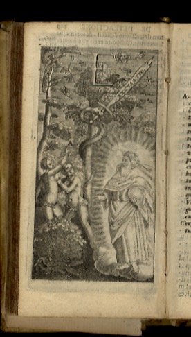 Orbis Phaëton hoc est de universis vitiis linguae auctore Hieremia …
