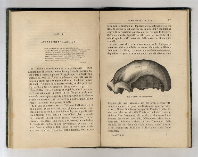 Origine dell'uomo. Seconda edizione riveduta ed accresciuta col corredo di …