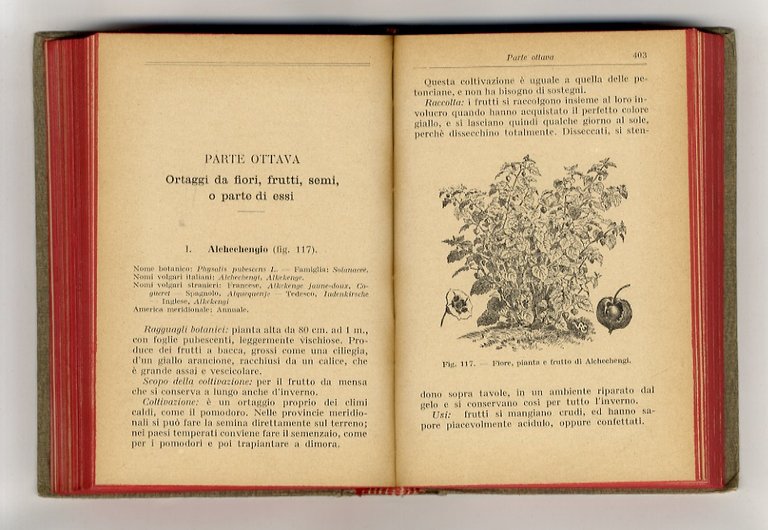 Orticoltura. Settima edizione. Completamente rifatta e ampliata. Con 237 illustrazioni.