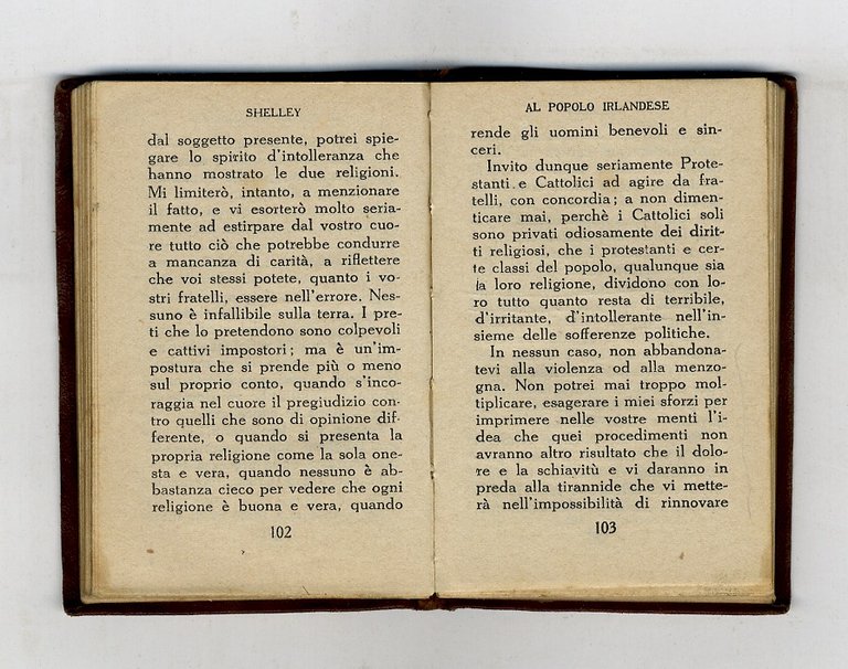 Pamphlets. Prima traduzione italiana di Mario Marini.