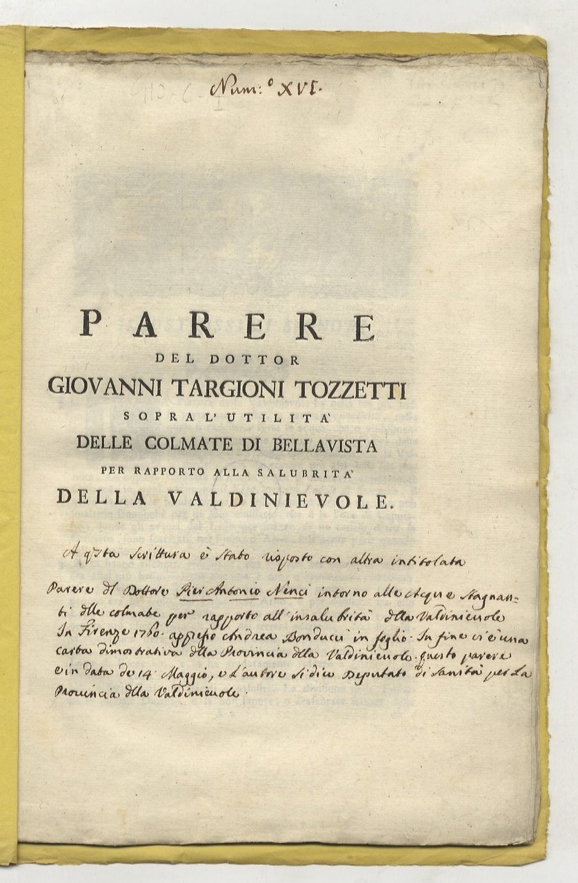 Parere del dottor Giovanni Targioni Tozzetti sopra l'utilità delle colmate … | Immagine principale