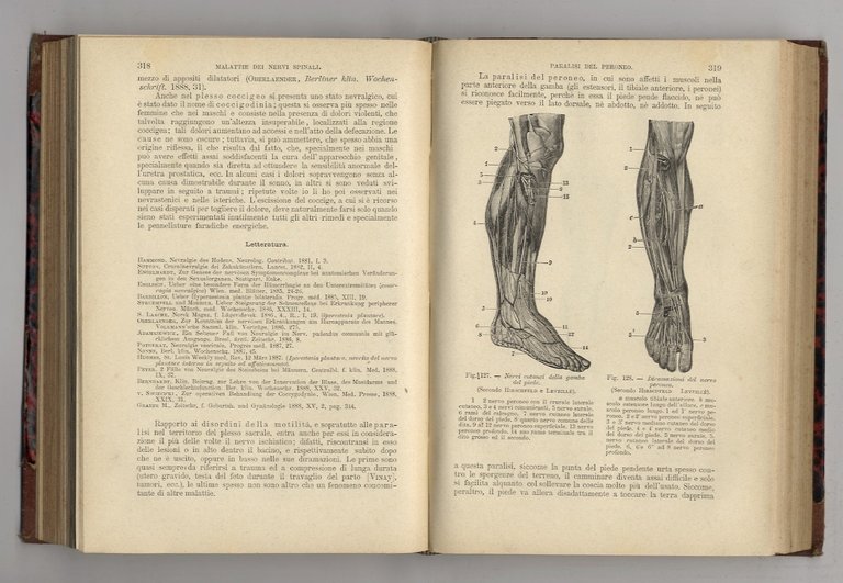 Patologia e terapia delle malattie nervose, ad usi dei medici …