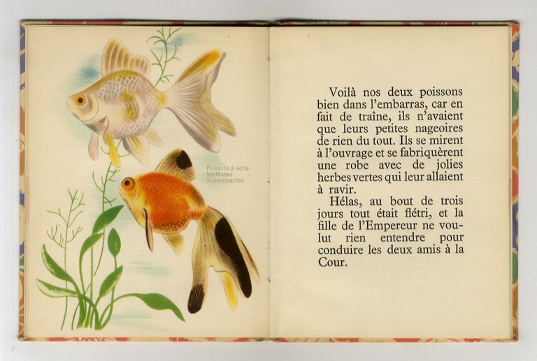 Petits poissons. Planches illustrées par Elisabeth Ivanovsky.