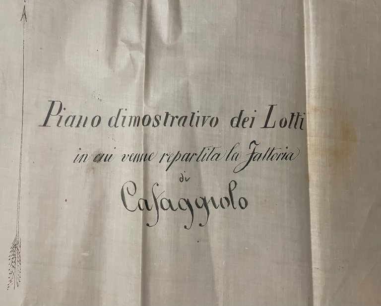 PIANO dimostrativo dei lotti in cui viene ripartita la Fattoria …