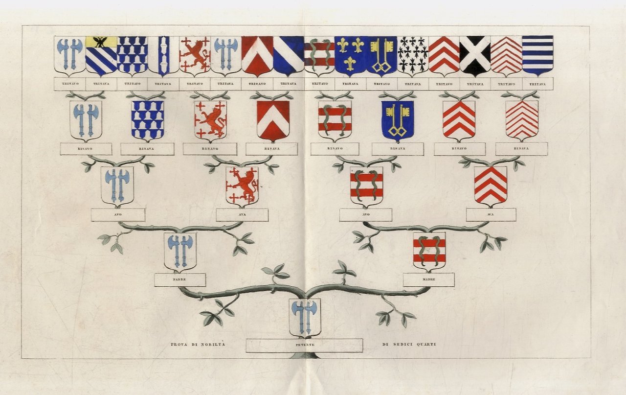 Prova di nobiltà di sedici quarti. | Immagine principale