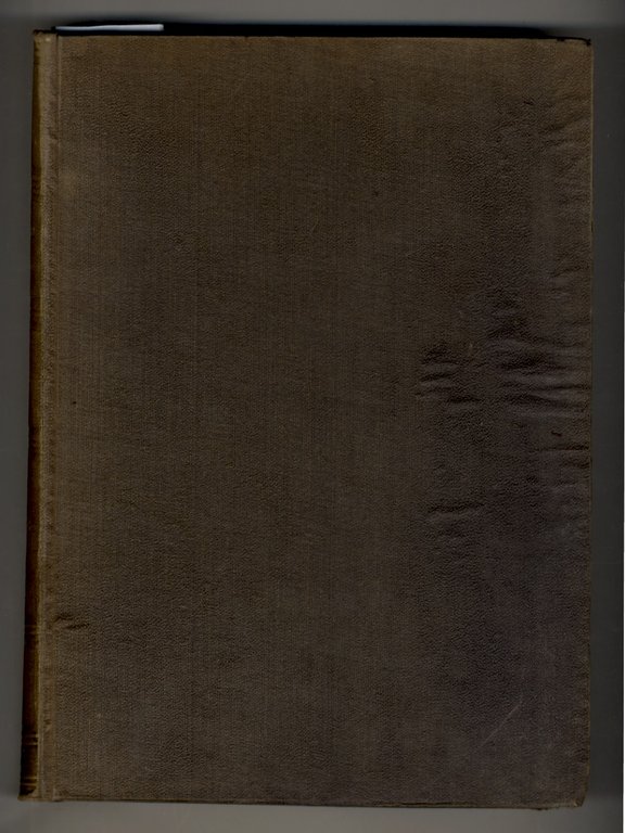 Raccolta de' migliori ornamenti del Medio Evo e profili di …