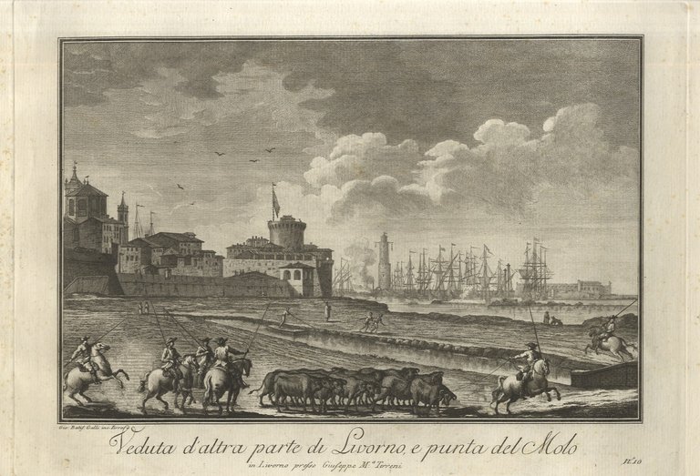 Raccolta delle più belle vedute della città e porto di …