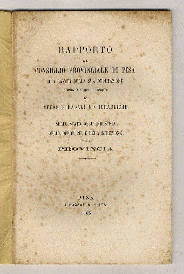 Rapporto al Consiglio Provinciale di Pisa su i lavori della …