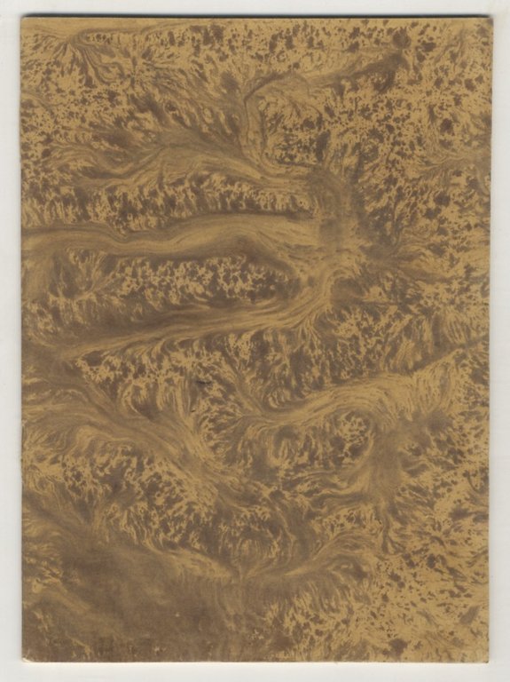 REGOLAMENTO o siano Costituzioni dell'Ordine del Merito sotto il titolo …