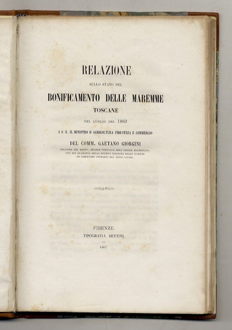 Relazione sullo stato del bonificamento delle Maremme toscane nel luglio … | Immagine principale